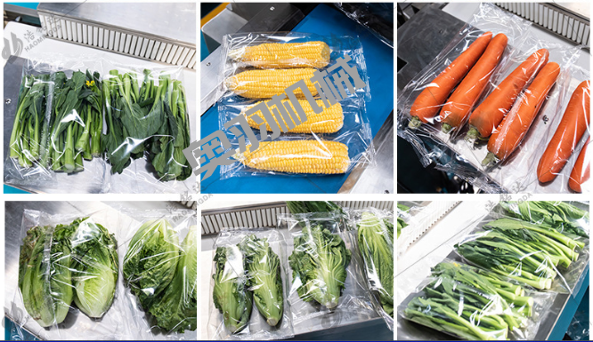 邢臺(tái)榮勝電子商務(wù)有限公司_工程案例_第2張_石家莊奧羽自動(dòng)化設(shè)備有限公司 邢臺(tái)榮勝電子商務(wù)有限公司_http://lntfjy.com_工程案例_第2張