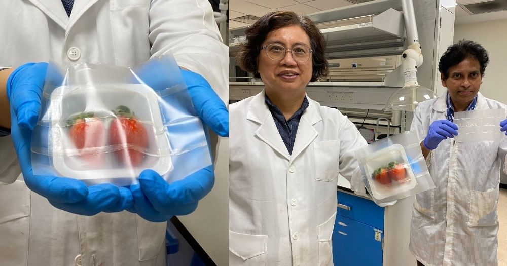 可生物降解的柔性食品包裝_http://lntfjy.com_新聞資訊_第1張