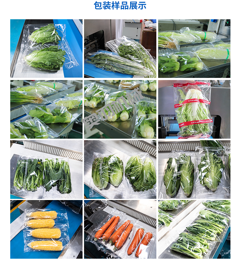 速凍蔬菜前景可期 速凍工藝打造品質(zhì)高地_http://lntfjy.com_新聞資訊_第2張